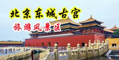 把黑丝美女干的淫水中国北京-东城古宫旅游风景区
